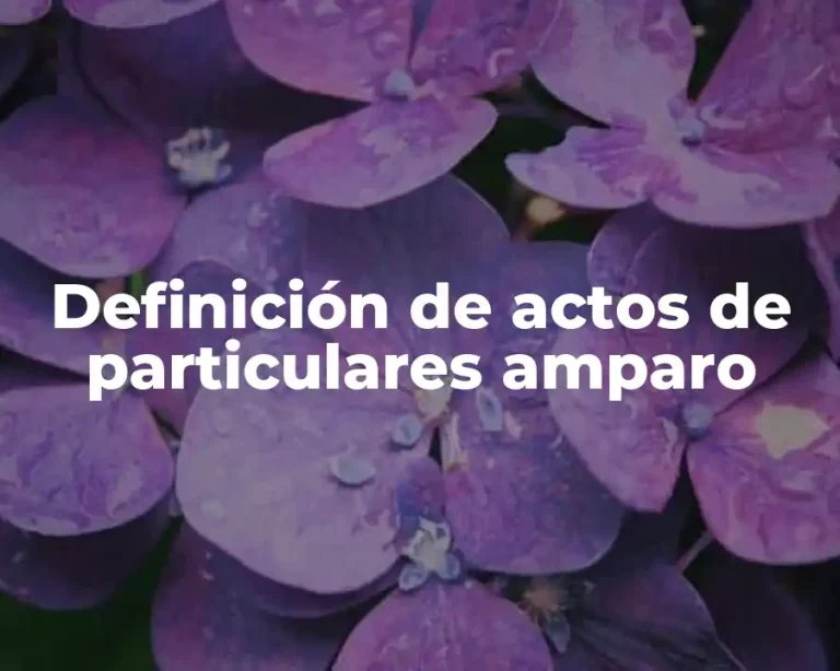 Definición de actos de particulares amparo