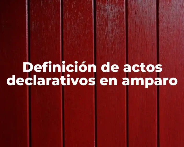 Definición de actos declarativos en amparo