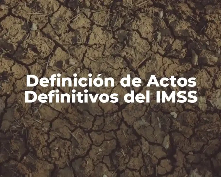 Definición de Actos Definitivos del IMSS
