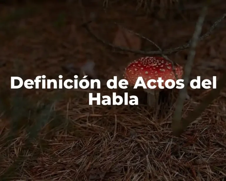 Definición de Actos del Habla