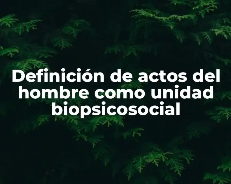 Definición de actos del hombre como unidad biopsicosocial