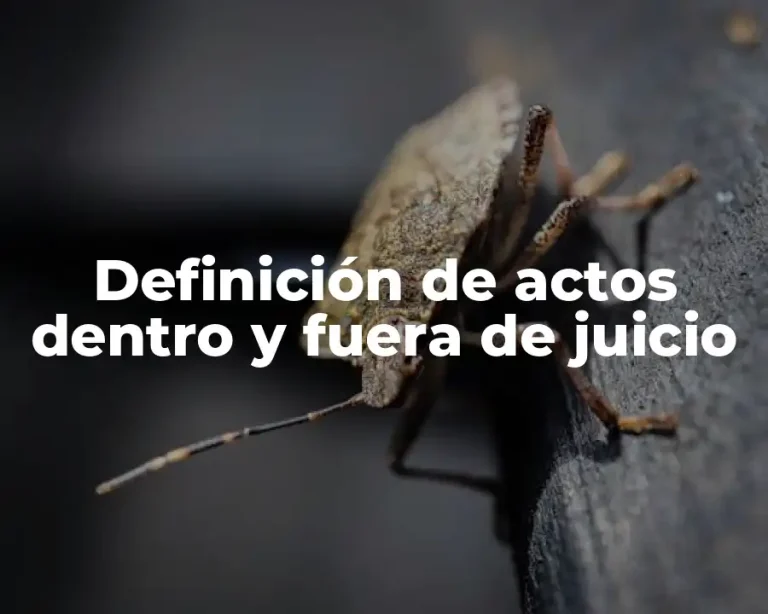 Definición de actos dentro y fuera de juicio