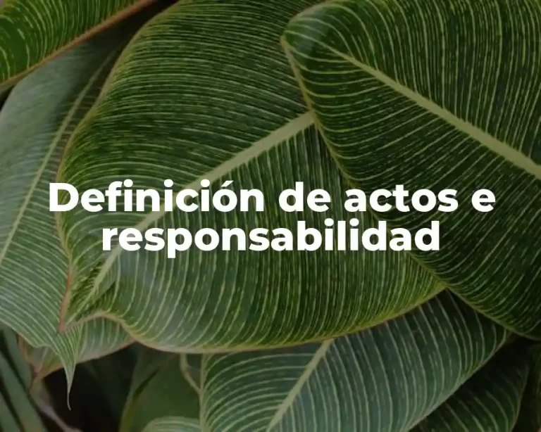 Definición de actos e responsabilidad