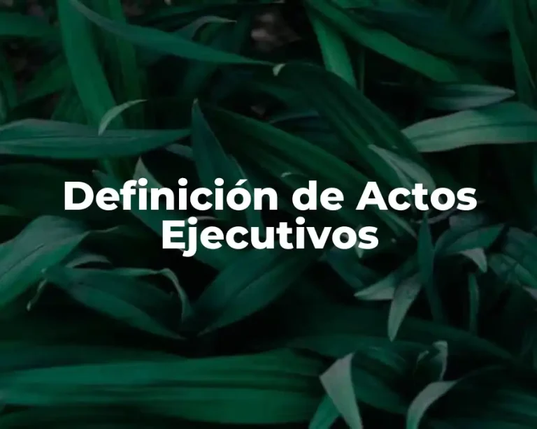 Definición de Actos Ejecutivos