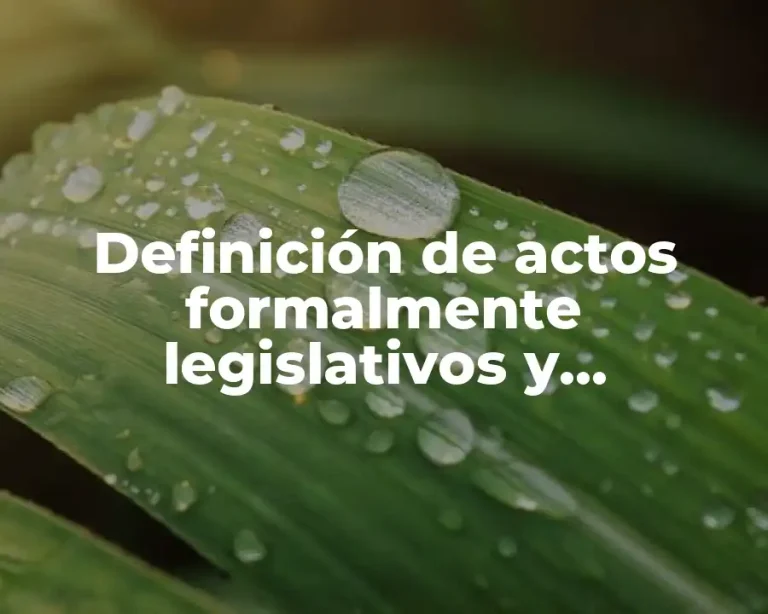 Definición de actos formalmente legislativos y materialmente administrativos