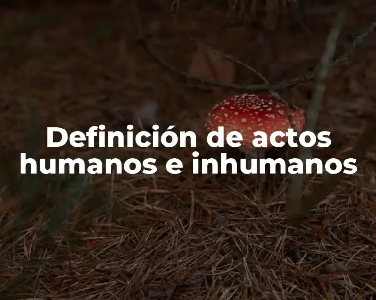Definición de actos humanos e inhumanos