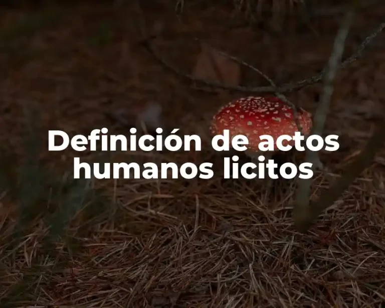 Definición de actos humanos licitos
