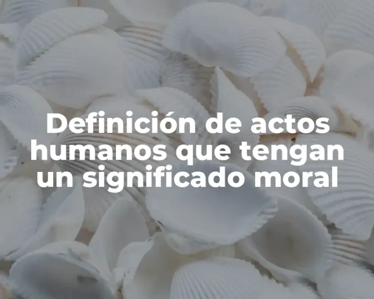 Definición de actos humanos que tengan un significado moral
