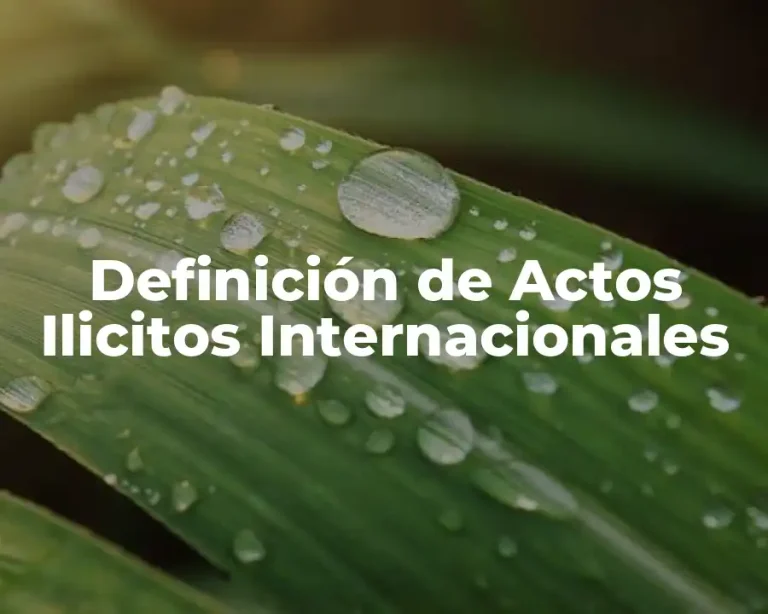 Definición de Actos Ilicitos Internacionales