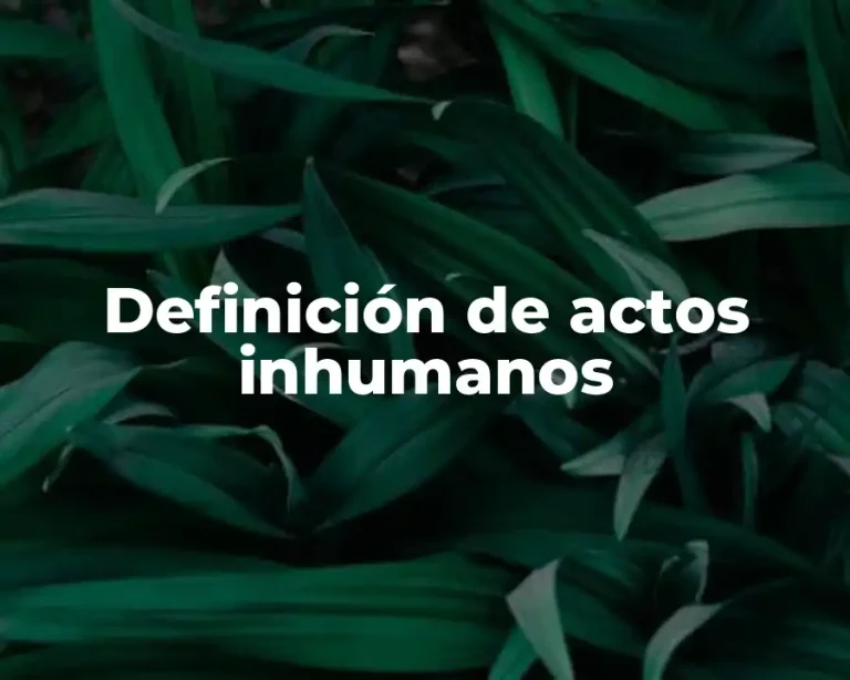 Definición de actos inhumanos