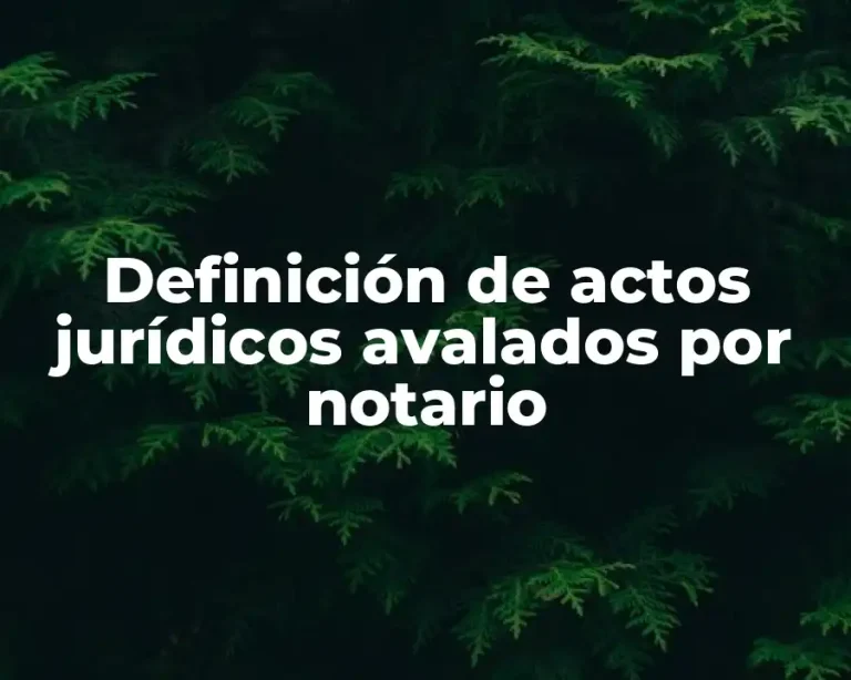 Definición de actos jurídicos avalados por notario
