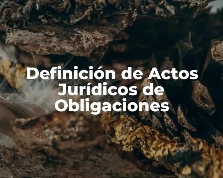Definición de Actos Jurídicos de Obligaciones
