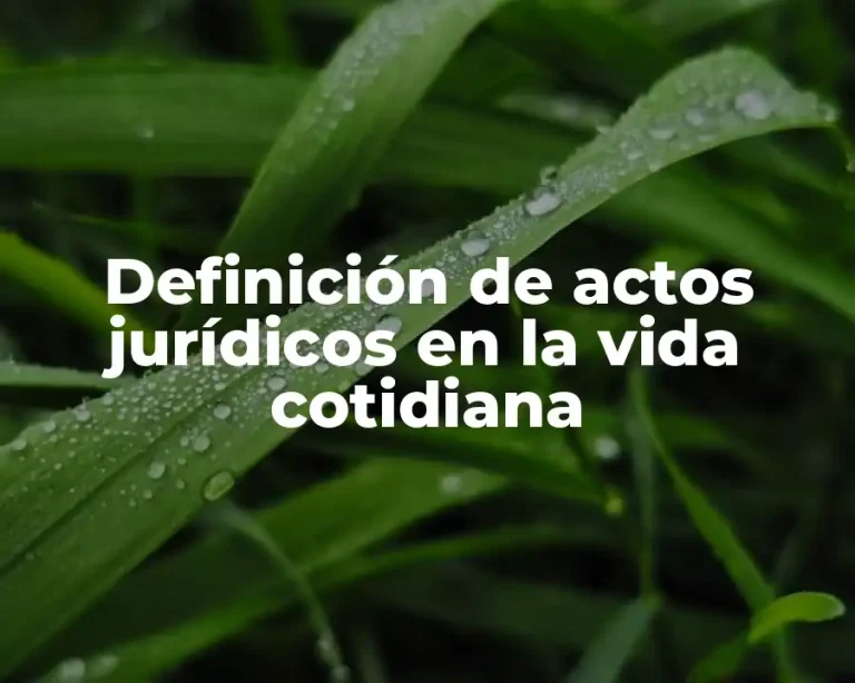 Definición de actos jurídicos en la vida cotidiana