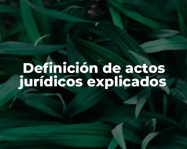 Definición de actos jurídicos explicados