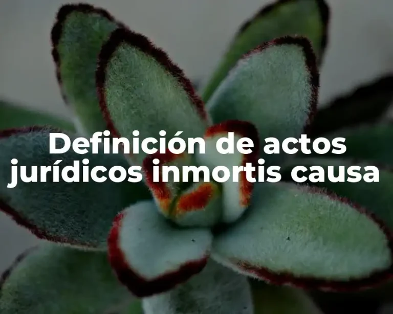 Definición de actos jurídicos inmortis causa