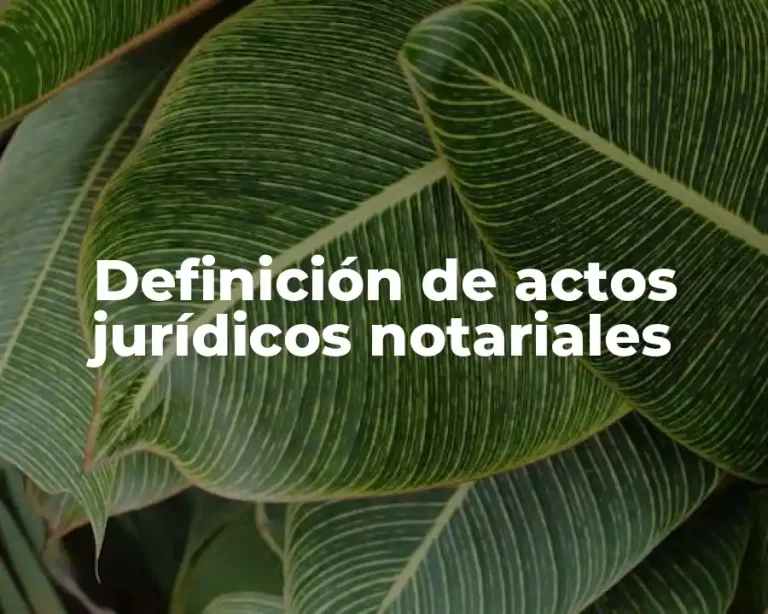 Definición de actos jurídicos notariales