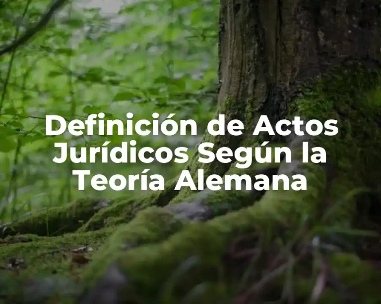Definición de Actos Jurídicos Según la Teoría Alemana