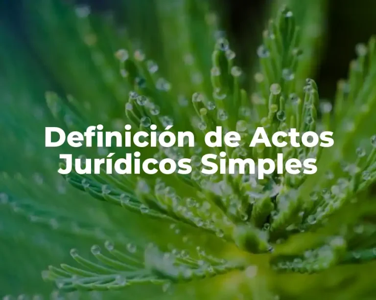 Definición de Actos Jurídicos Simples