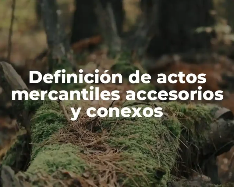 Definición de actos mercantiles accesorios y conexos