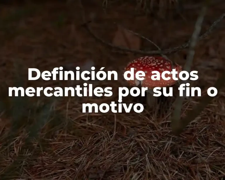 Definición de actos mercantiles por su fin o motivo