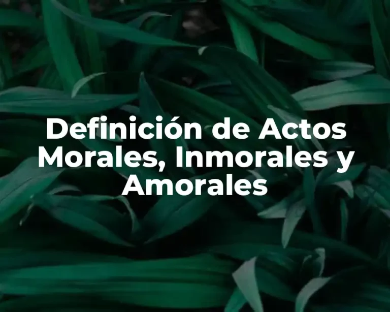 Definición de Actos Morales, Inmorales y Amorales