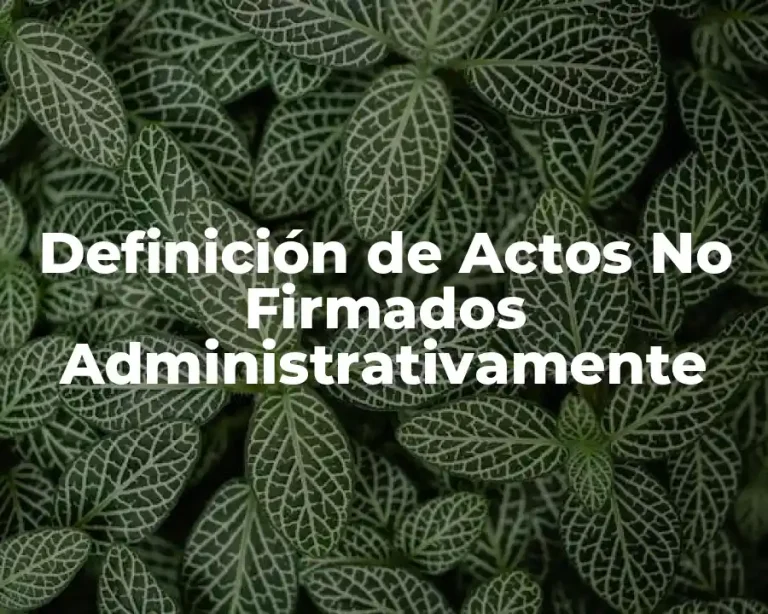 Definición de Actos No Firmados Administrativamente