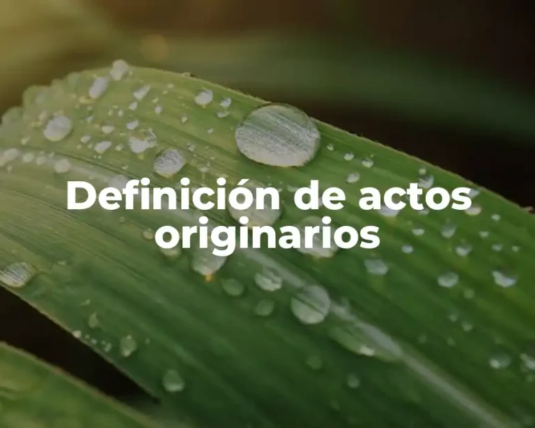 Definición de actos originarios