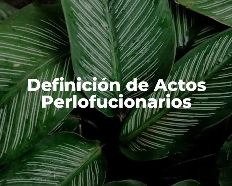 Definición de Actos Perlofucionarios