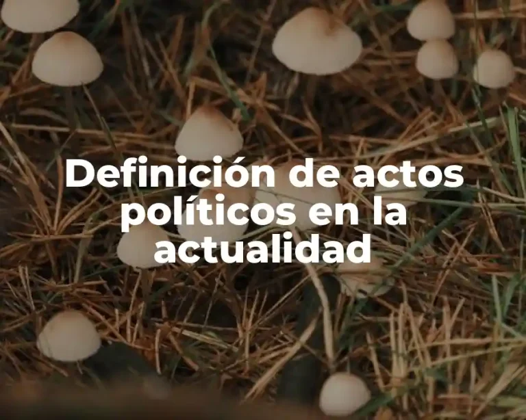 Definición de actos políticos en la actualidad