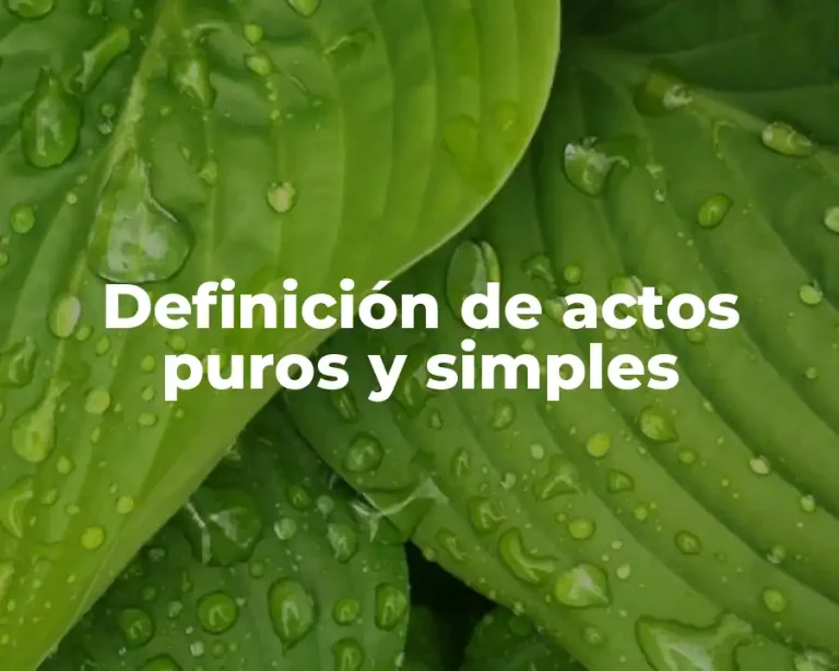 Definición de actos puros y simples