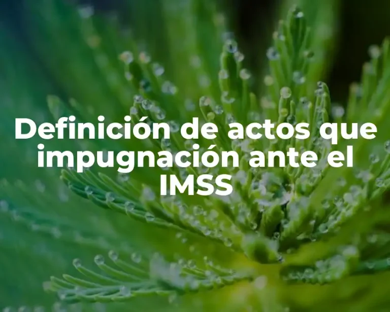 Definición de actos que impugnación ante el IMSS