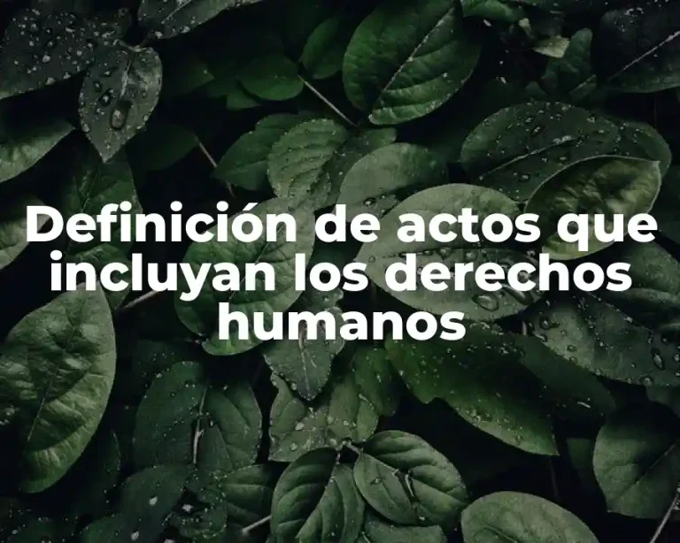 Definición de actos que incluyan los derechos humanos
