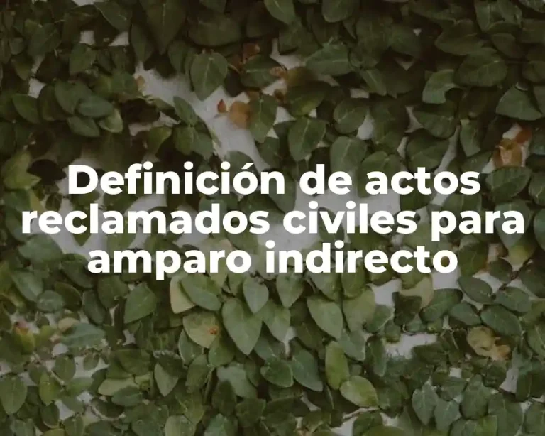 Definición de actos reclamados civiles para amparo indirecto