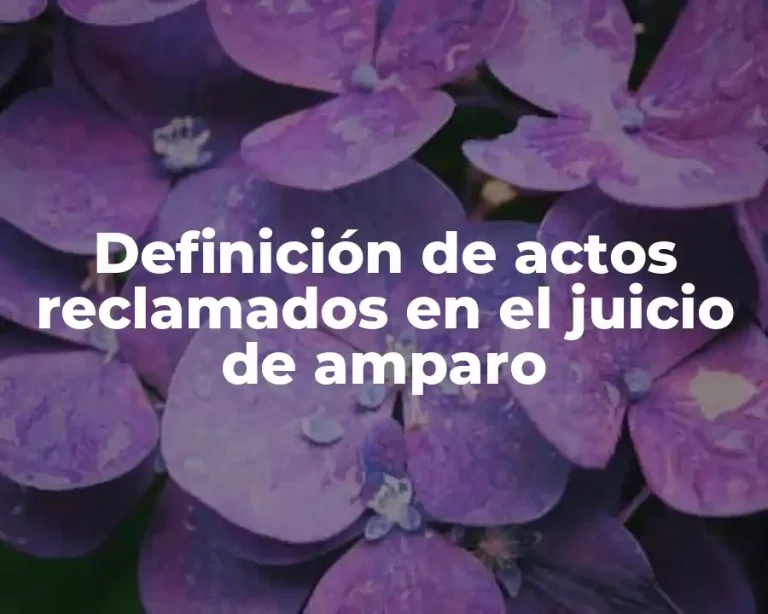 Definición de actos reclamados en el juicio de amparo