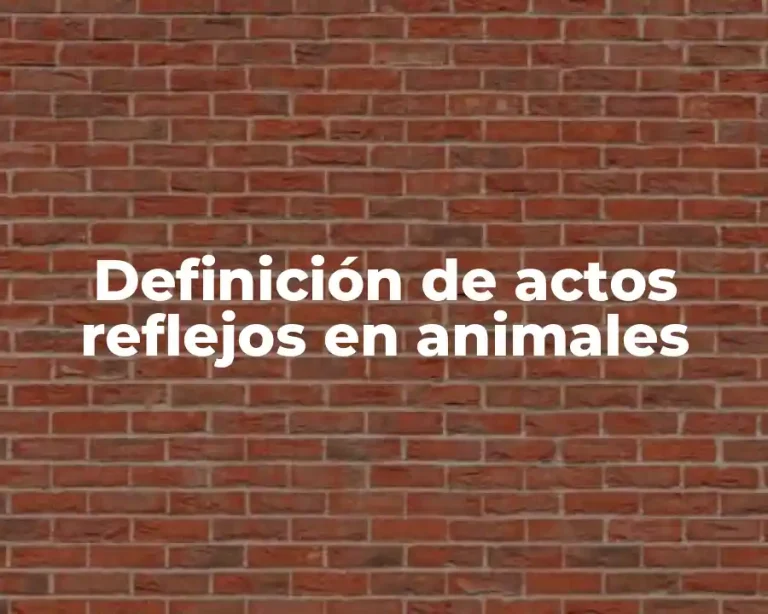 Definición de actos reflejos en animales