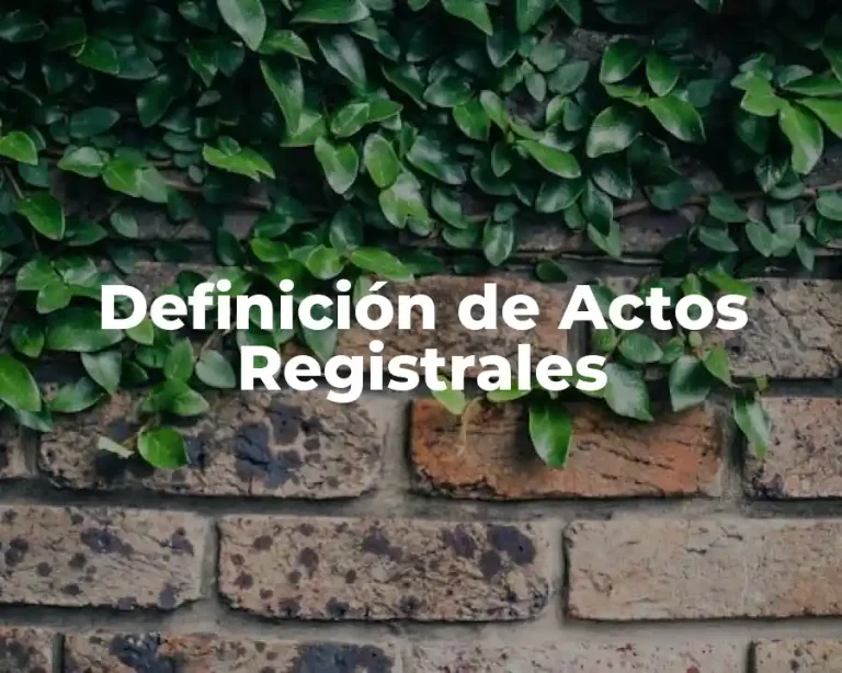 Definición de Actos Registrales