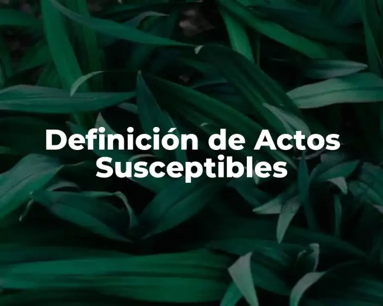Definición de Actos Susceptibles