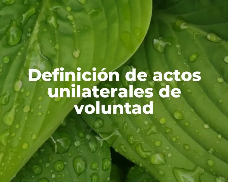 Definición de actos unilaterales de voluntad