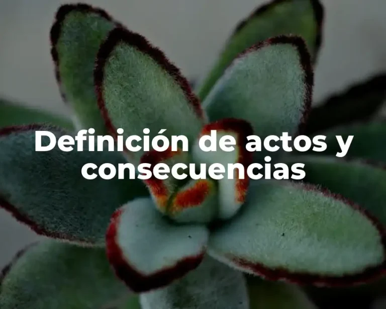 Definición de actos y consecuencias