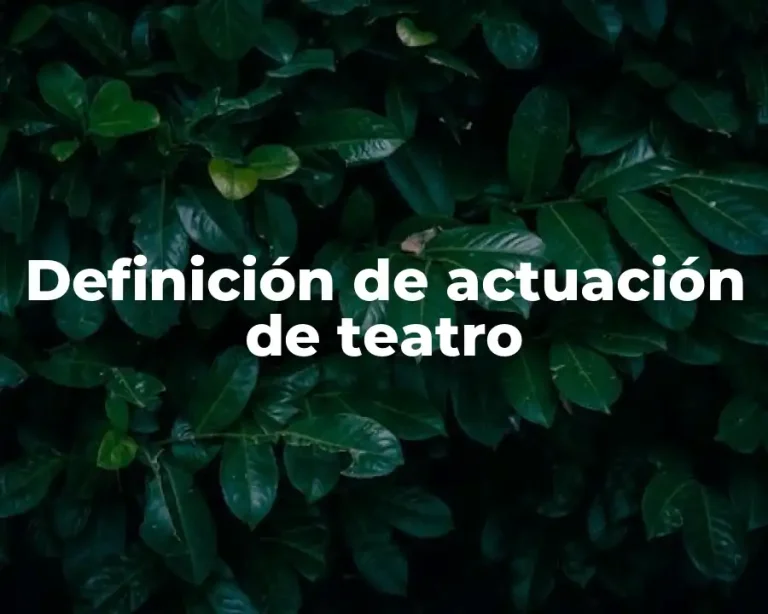 Definición de actuación de teatro