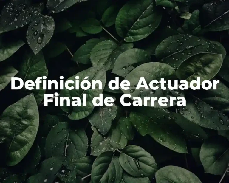 Definición de Actuador Final de Carrera