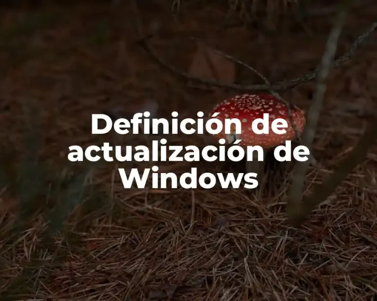 Definición de actualización de Windows