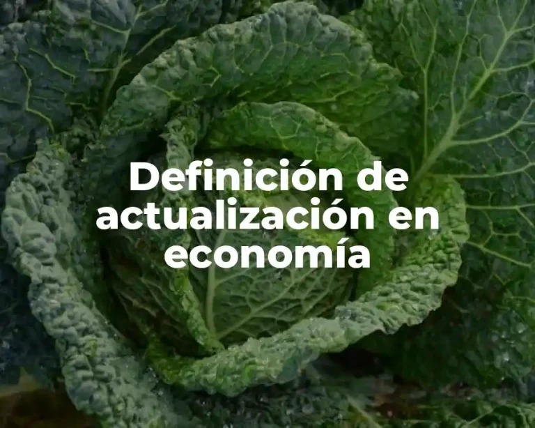 Definición de actualización en economía