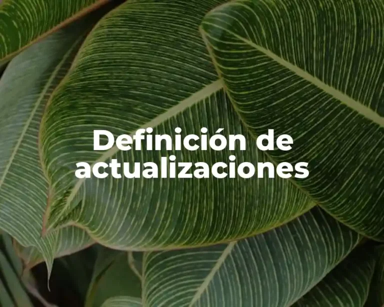 Definición de actualizaciones