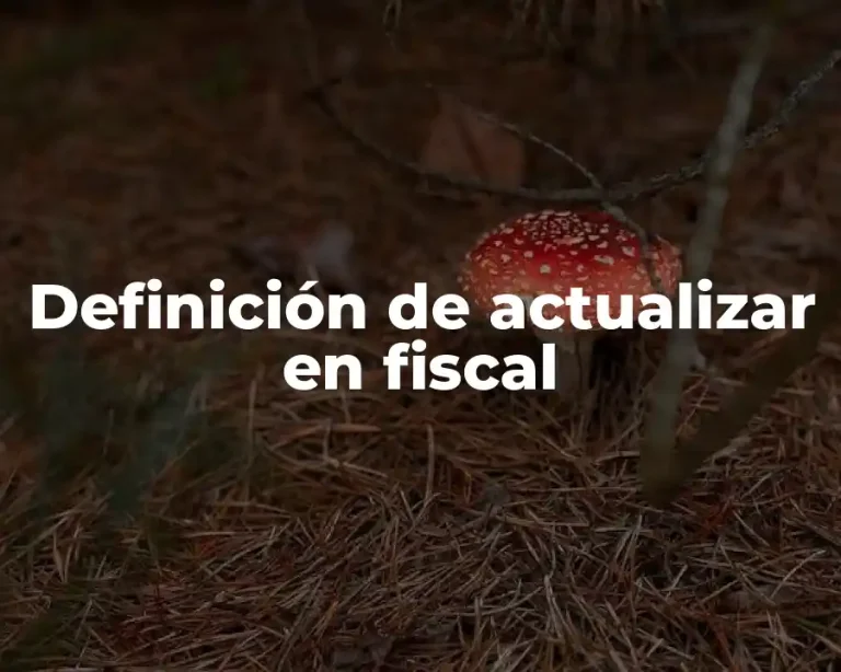 Definición de actualizar en fiscal