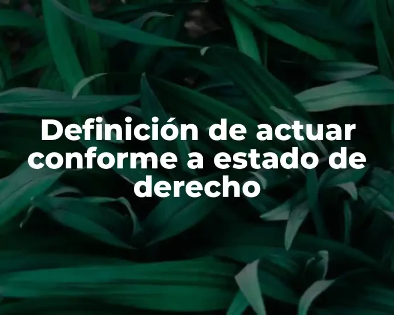 Definición de actuar conforme a estado de derecho