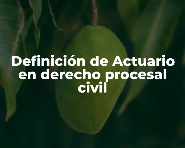 Definición de Actuario en derecho procesal civil