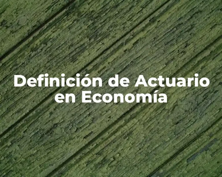 Definición de Actuario en Economía