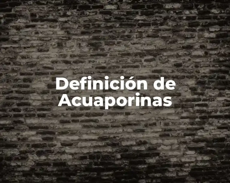 Definición de Acuaporinas