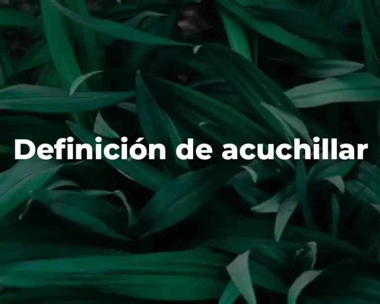Definición de acuchillar